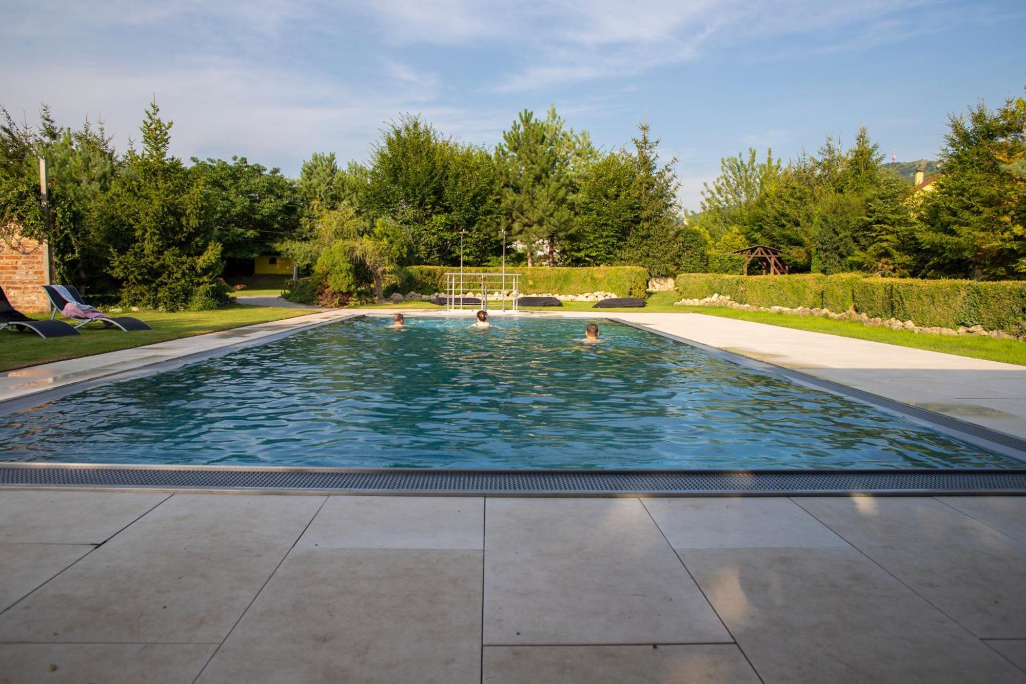 Amenity Penzion Horni Vestonice Ngoại thất bức ảnh